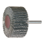 HOLEX Spazzole lamellari in tela abrasiva con gambo (SiC), 30x10mm, grana 120