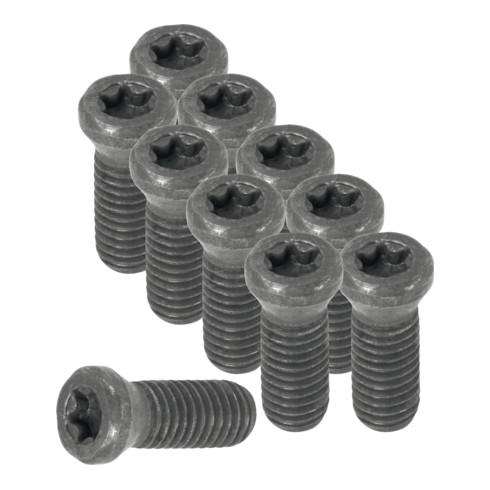 HOLEX Torx® Schrauben