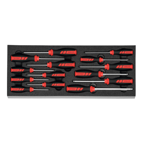 Holex Tournevis pour Torx et 6 pans, Nombre d'outils: 14