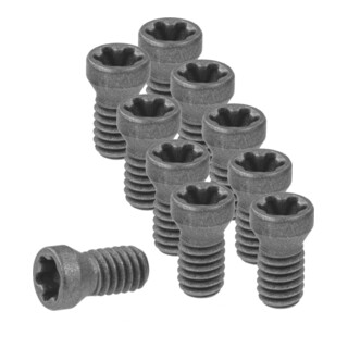 HOLEX Wendeplattenschrauben-Set, Typ: 1
