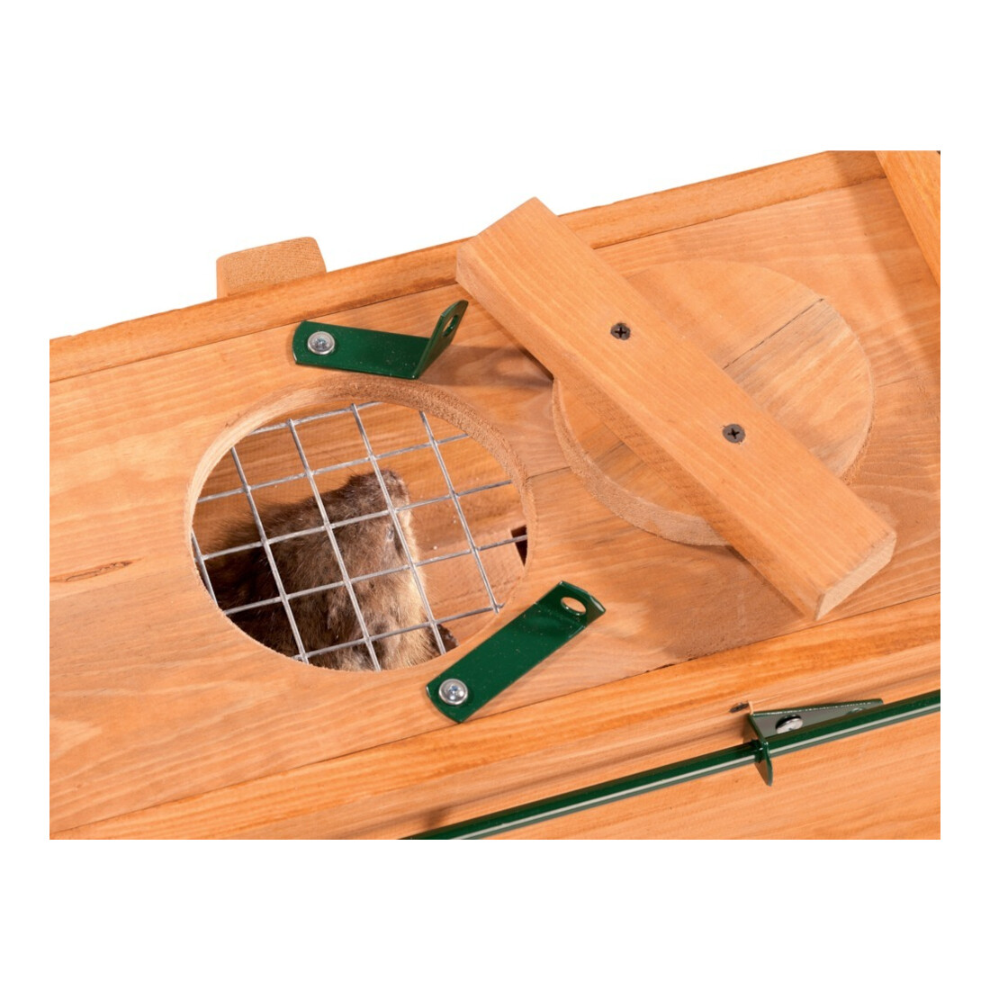 Holz-Kastenfalle