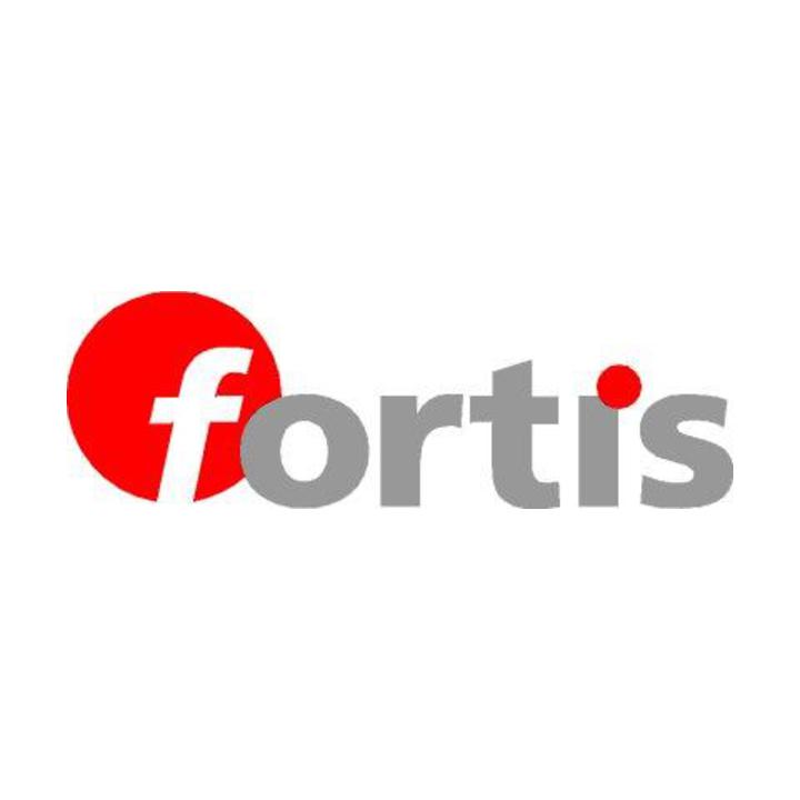 Holzschmiege 300mm FORTIS