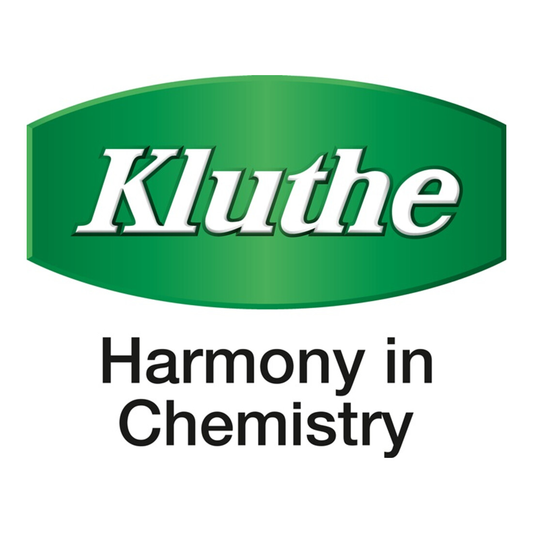 Holzschutzmittel Holzwurmtod farblos 0,75l Dose KLUTHE