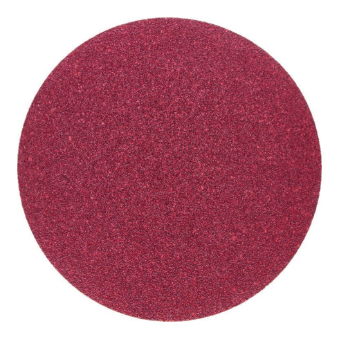 holzstar Disque abrasif 150 mm K 100 10 pcs pour BTS150