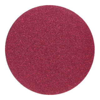 holzstar Disque abrasif 150 mm K 120 10 pcs pour BTS150