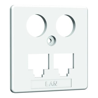 Homeway HW-ZP EK1 LAN/LAN Central. 50 mm rws HAXHSE-G0401-C021