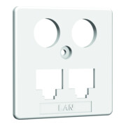 Homeway HW-ZP EK1 LAN/LAN Central. 50 mm rws HAXHSE-G0401-C021-1