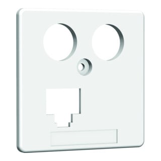 Homeway HW-ZP EK13S 8/8 RJ45 Centre 50 mm rws HAXHSE-G0401-C045