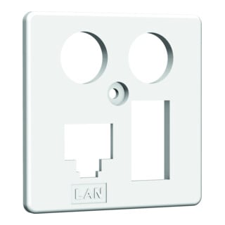 Homeway HW-ZP EK4 LAN/TAE Centrale 50 mm rws HAXHSE-G0401-C024