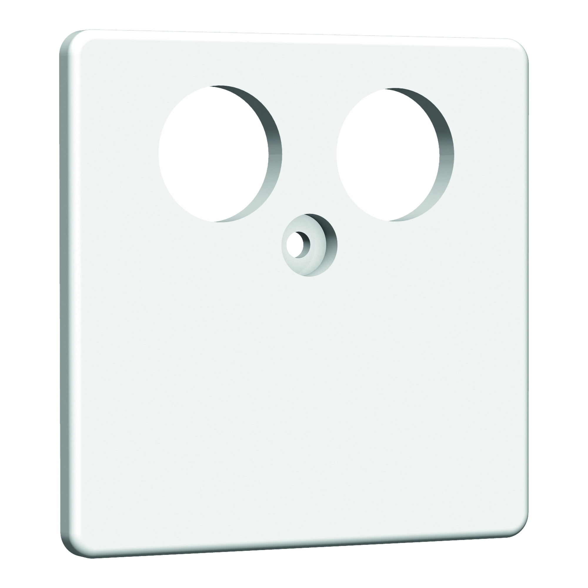 Homeway HW-ZP-TV Zentralplatte 50mm rws HAXHSE-G0201-C001
