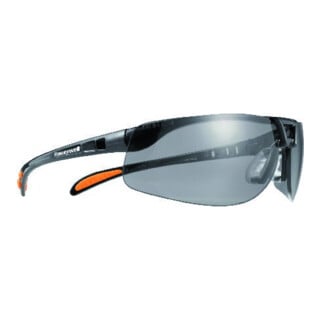 Honeywell Lunettes Protege, antirayures, noir/transparent