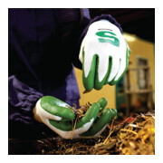 Honeywell Schnittschutzhandschuhe Check & Go Green Nit 5 Gr.10 weiß/grün EN388 Kat.II 10PA-1