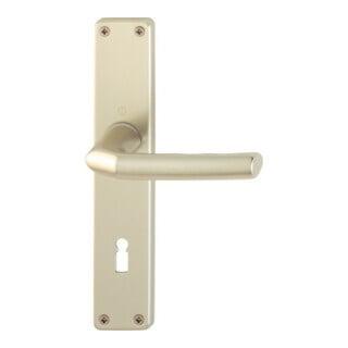 Hoppe Langschildgarnitur Birmingham 1117/202SP Alu. F2 OB 72mm DIN L/R