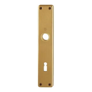 Hoppe paire de blindage longue 202SP F4/bronzef. F4 BB 72mm