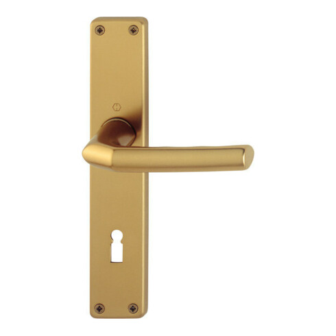 HOPPE ZT Garniture de poignée plaque longue, carrée Birmingham, 1117/202SP BB, 8/72, F4, TS 27-47