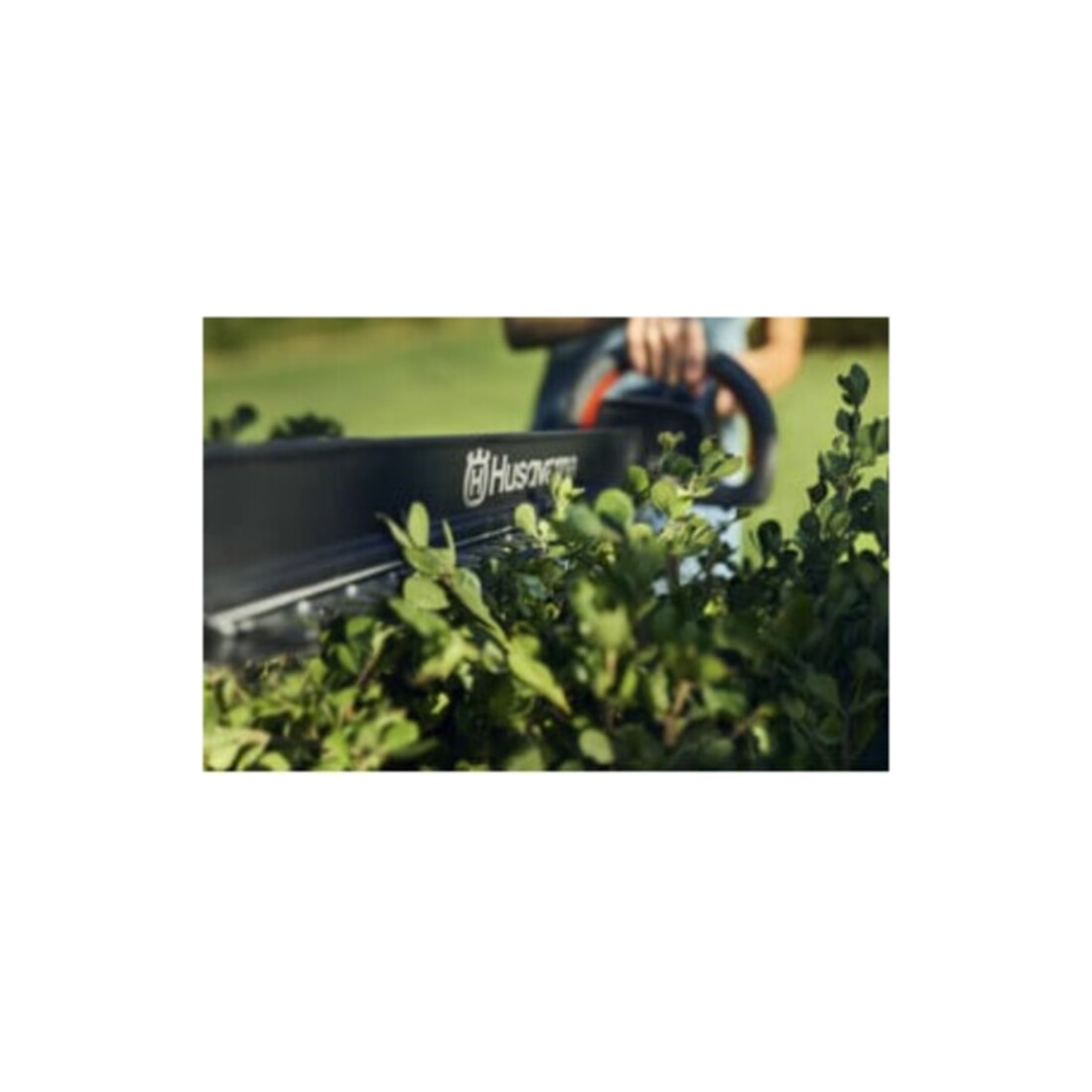 Husqvarna Akku-Heckenschere Aspire H50-P4A+B45/C70