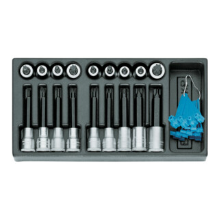 Inserts de tournevis Gedore 1/2" dans le module 1/3 ES (1500 ES-ITX19 LKP)