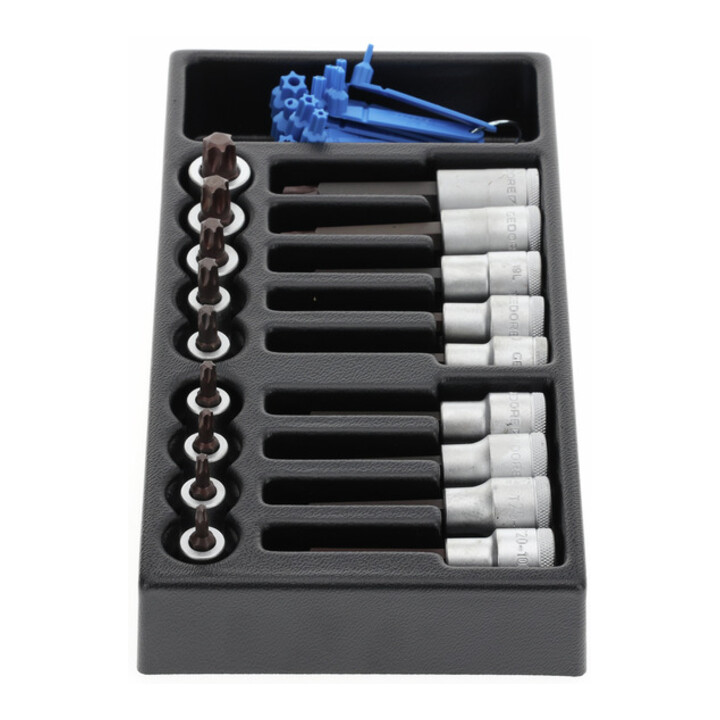 Inserts de tournevis Gedore 1/2" dans le module 1/3 ES (1500 ES-ITX19 LKP)