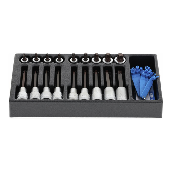 Inserts de tournevis Gedore 1/2" dans le module 1/3 ES (1500 ES-ITX19 LKP)