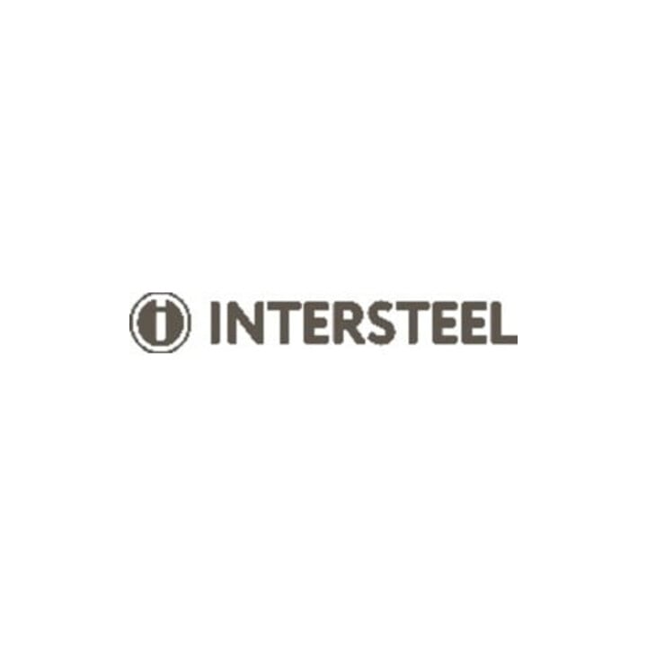 INTERSTEEL Charnière de porte à roulement à billes VA rd 76x76mm DIN L/R avec goupille extractible