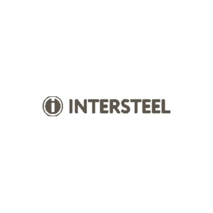 INTERSTEEL Charnière de porte à roulement à billes VA ronde 102x102 mm DIN G/D avec goupille extractible