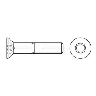 ISO 10642 Senkkopf-Schaftschraube M6x20 Stahl 8.8 galvanisch verzinkt TX