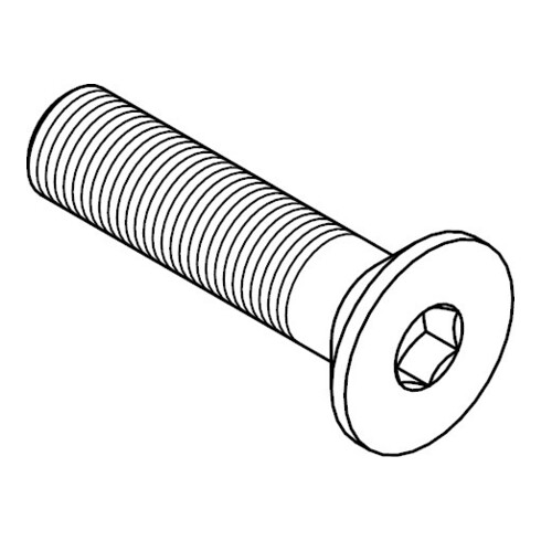 ISO 10642 Vis à tête fraisée à six pans creux, acier inoxydable A4 M24x140 HP