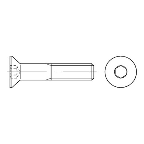 ISO 10642 Vis fraisée à empreinte hexagonale 8.8 galZn M16x160 HP