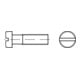 ISO 1207 Zylinderschraube mit Schlitz, 4.8 galZn M3,5x6 HP-1