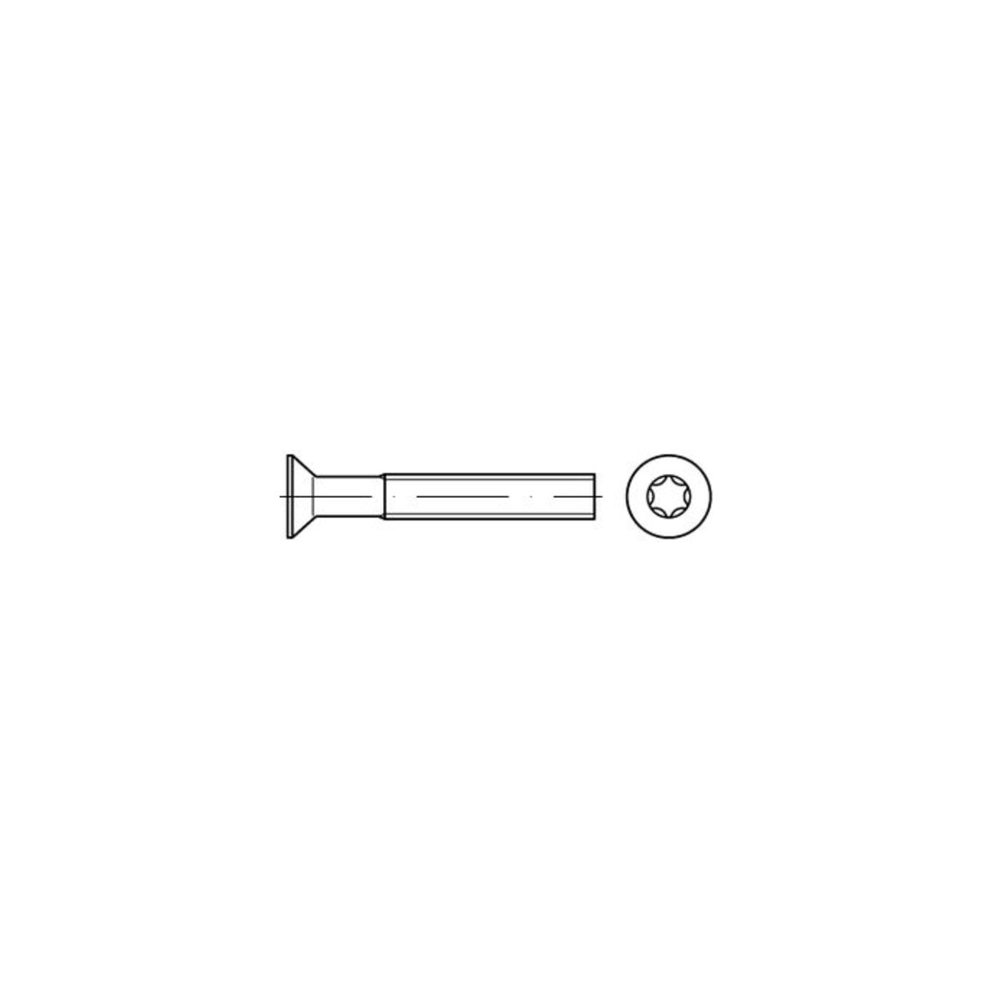ISO 14581 A 4 M 8 x 50 -T45 A 4 S