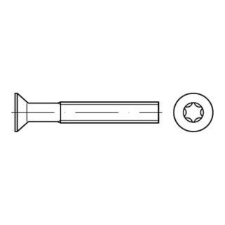 ISO 14581 Senkkopfschraube mit Innensechsrund (TX), Stahl, galvanisch verzinkt