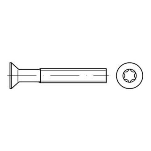 ISO 14581 Senkschrauben mit Innensechsrund  08.8 M 8 x 30 -T45 galvanisch verzinkt gal Zn S