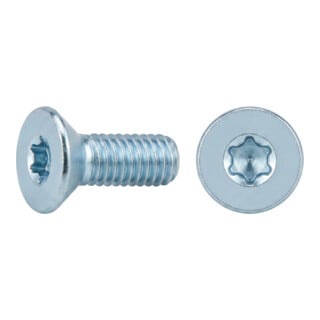 ISO 14581 Senkkopfschraube mit Innensechsrund (TX), Edelstahl, blank