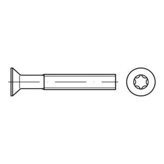 ISO 14581 Senkkopfschraube mit Innensechsrund (TX), Edelstahl, blank