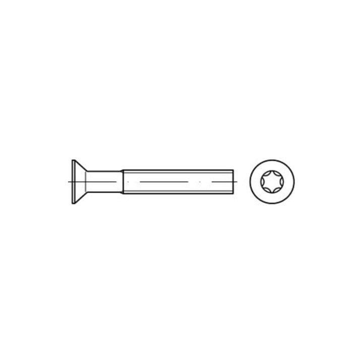 ISO 14581 Senkschrauben mit Innensechsrund  A 2 M 3 x 30 -T10 A 2 S