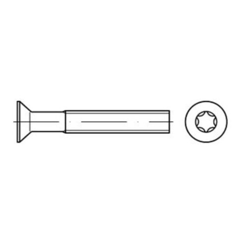 ISO 14581 Senkschrauben mit Innensechsrund A 2 M 5 x 12 -T25 A 2 S