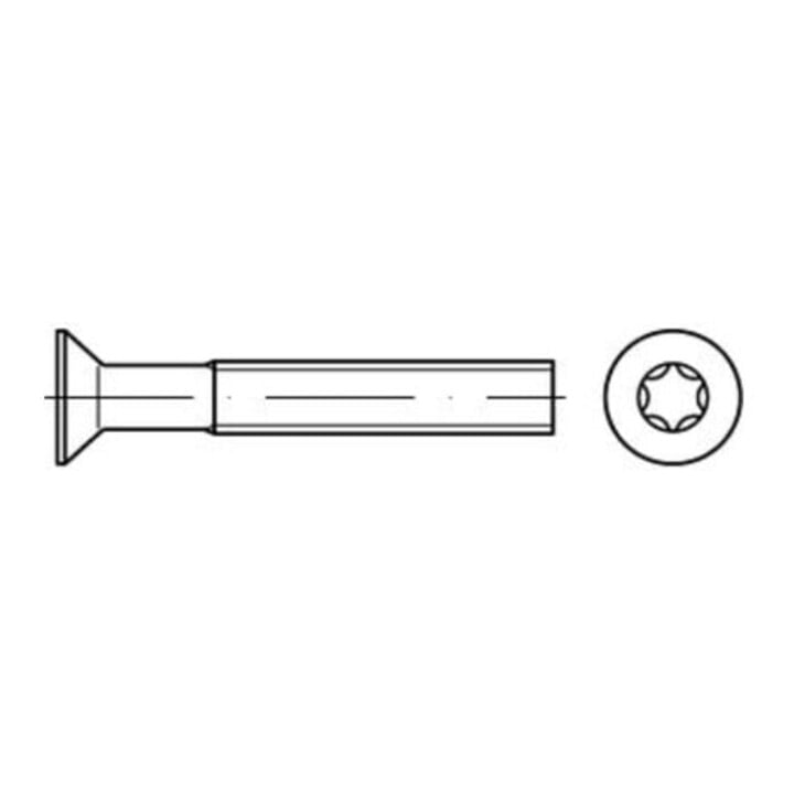 ISO 14581 Senkschrauben mit Innensechsrund  A 2 M 5 x 12 -T25 A 2 S