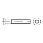 ISO 14581 Senkschrauben mit Innensechsrund  A 4 M 5 x 30 -T25 A 4 S-3