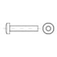 ISO 14583 Flachkopfschraube mit Innensechsrund, 4.8 galZn ISR M2x16 HP-1