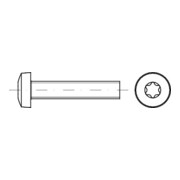 ISO 14583 Flachkopfschraube mit Innensechsrund, 4.8 galZn ISR M6x20 KP