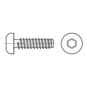 ISO 14585 Flachkopf-Blechschraube Form C mit Innensechsrund, ST galZn F ISR 2,9x4,5 HP