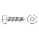 ISO 14585 Flachkopf-Blechschraube Form C mit Innensechsrund, ST galZn F ISR 5,5x16 HP-1