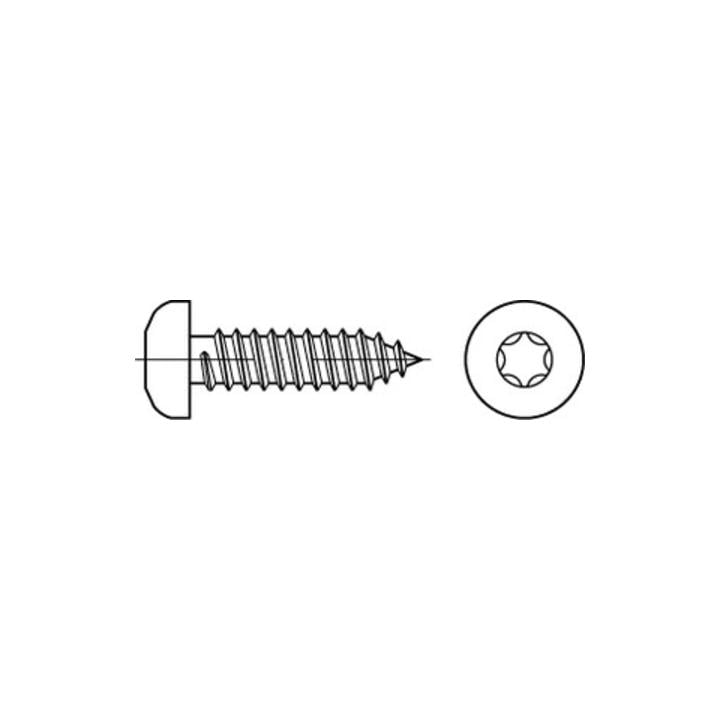 ISO 14585 Form CE Flachkopf-Blechschraube VG 3,5x25 Edelstahl A2 blank m. Spitze T15