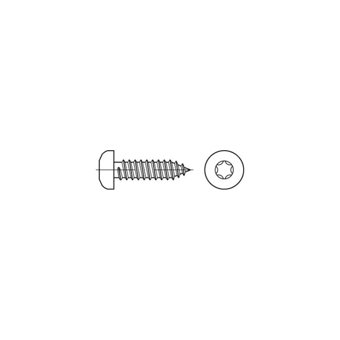 ISO 14585 Form CE Flachkopf-Blechschraube VG 4,2x22 Edelstahl A2 blank m. Spitze T20