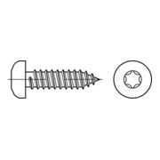 ISO 14585 Form CE Flachkopf-Blechschraube VG 4,2x25 Edelstahl A2 blank m. Spitze T20-3