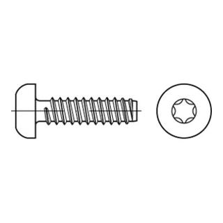 ISO 14585 Form FE Flachkopf-Blechschraube VG 3,9x22 Stahl galvanisch verzinkt m. Zapfen T15
