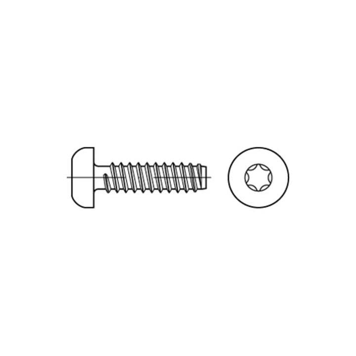 ISO 14585 Form FE Flachkopf-Blechschraube VG 4,2x45 Stahl galvanisch verzinkt m. Zapfen T20