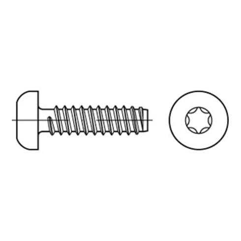 ISO 14585 Form FE Flachkopf-Blechschraube VG 5,5x45 Stahl galvanisch verzinkt m. Zapfen T25