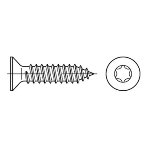 DIN 7982-C/ISO 14586 Senkkopf-Blechschraube mit Spitze Innensechsrund (TX), Edelstahl, blank A2