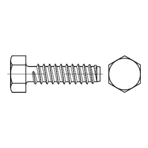 ISO 1479 Sechskant-Blechschraube, C mit Spitze, ST galZn F 6,3x19 HP